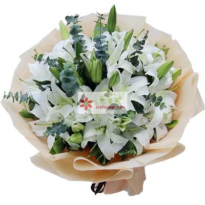 湘潭9支白色多头百合，祝福你幸福